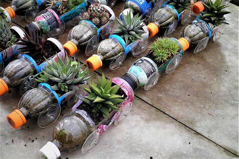 eihe von recycelten Plastikflaschen, die als Pflanzgefäße verwendet werden. Jede Flasche ist mit Erde gefüllt und enthält verschiedene kleine Pflanzen oder Sukkulenten. Die Szene zeigt eine kreative und nachhaltige Methode, Abfall zu minimieren und gleichzeitig Grünflächen zu schaffen.